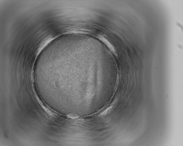 X0000096480893200802141719