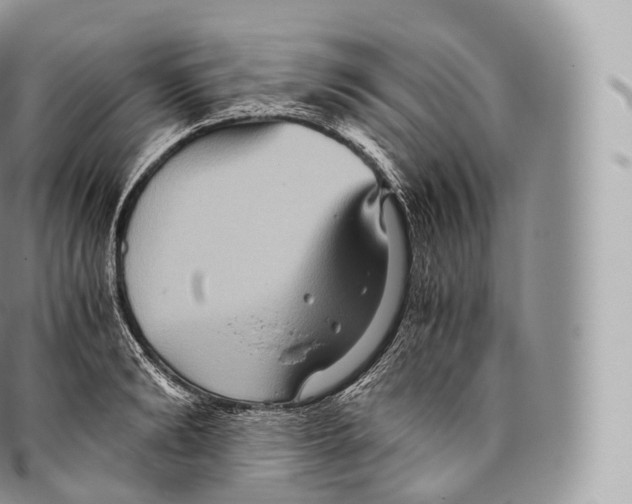 X0000096480894200802141719