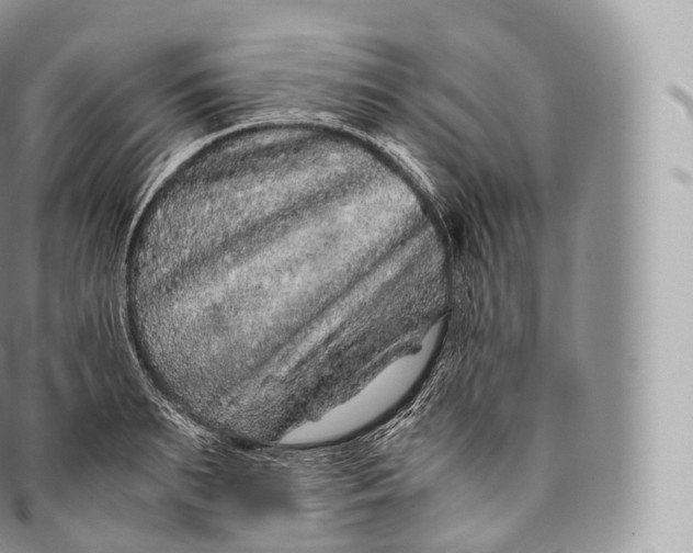 X0000096480895200802141719