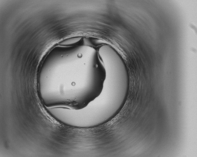 X0000096480896200802141719