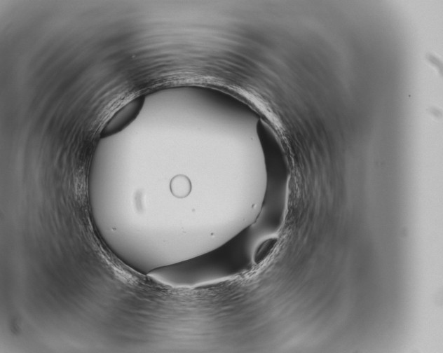 X0000096480897200802141719