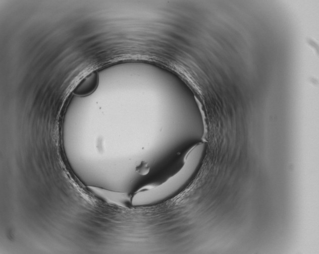 X0000096480898200802141719