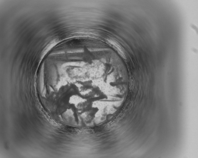 X0000096480899200802141719