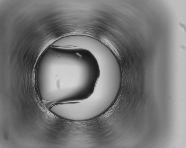 X0000096480900200802141719