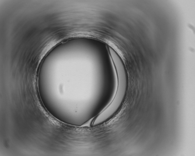 X0000096480901200802141719