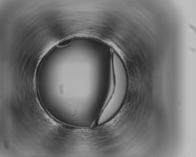 X0000096480902200802141719