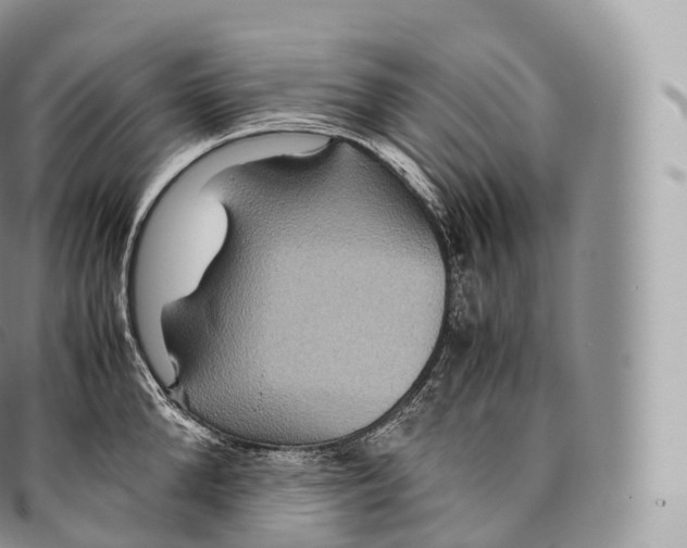 X0000096480904200802141719