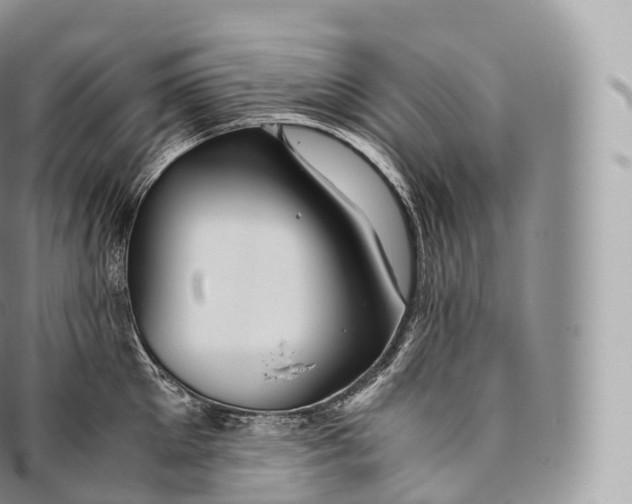 X0000096480905200802141719