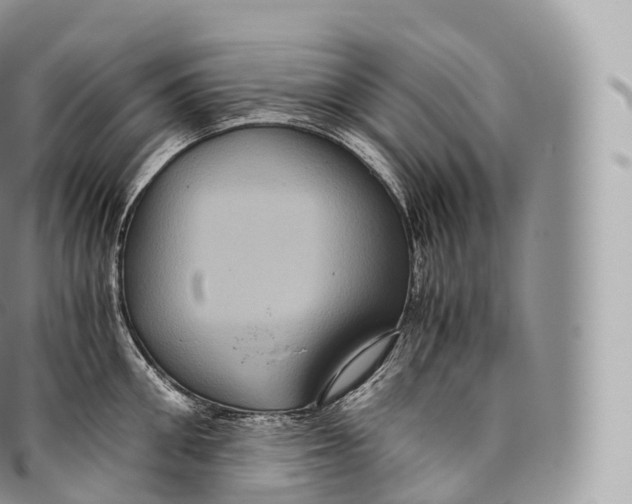 X0000096480906200802141719