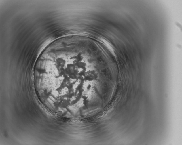 X0000096480907200802141719