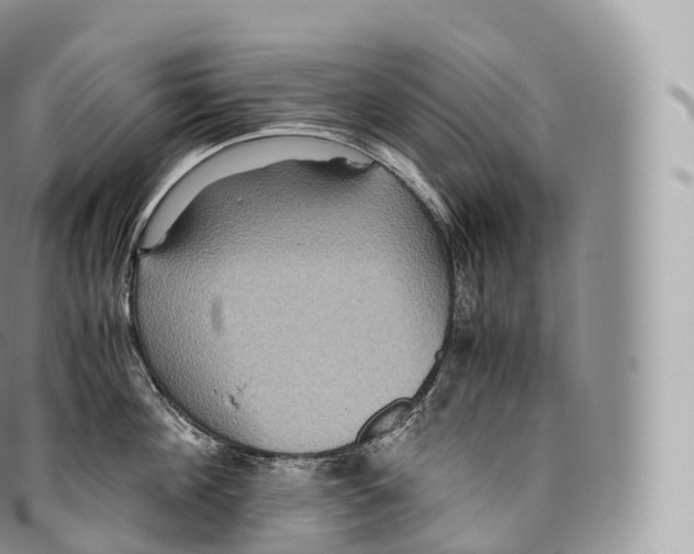 X0000096480908200802141719