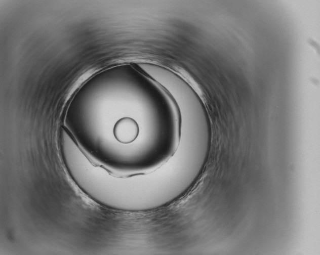 X0000096480909200802141719