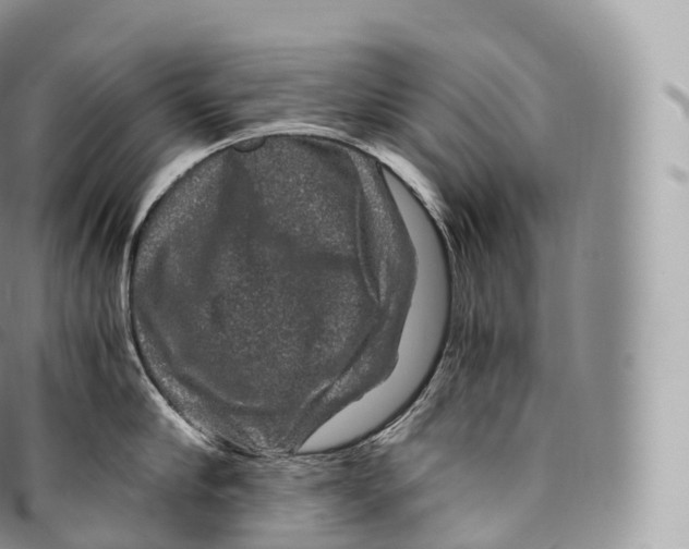 X0000096480910200802141719