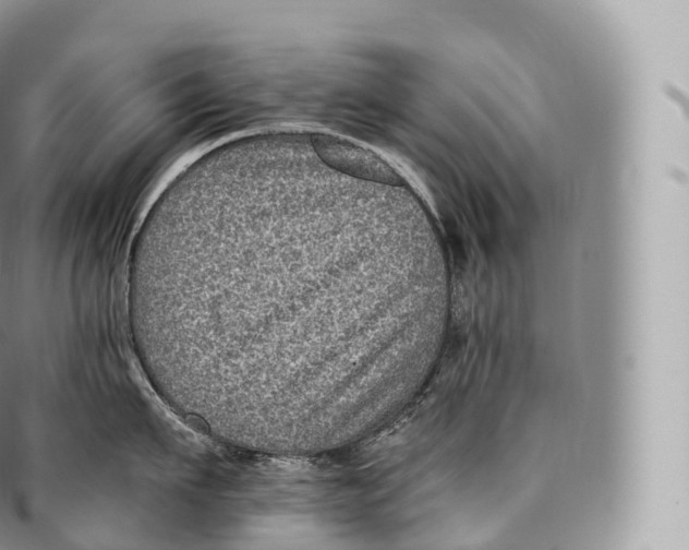 X0000096480911200802141719