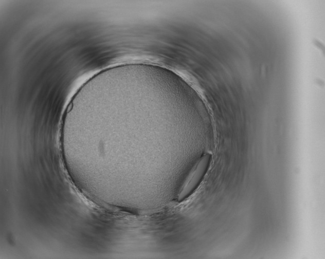 X0000096480912200802141719