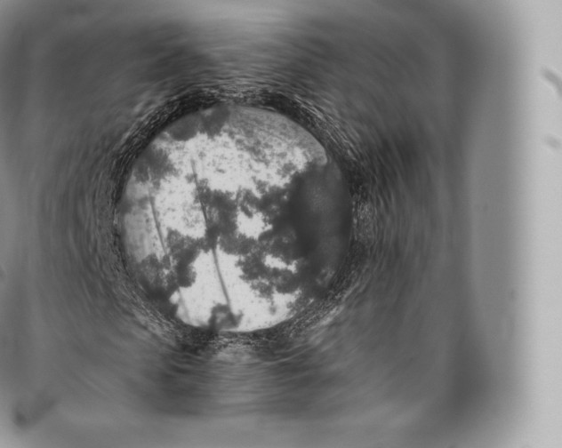 X0000096480913200802141718