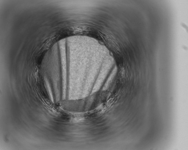 X0000096480914200802141718