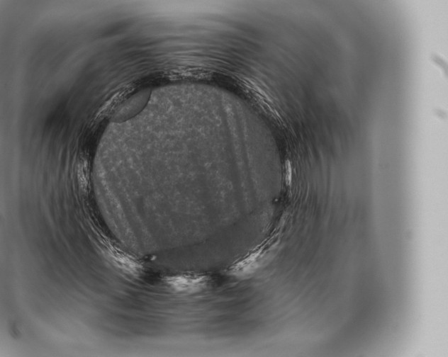 X0000096480915200802141718