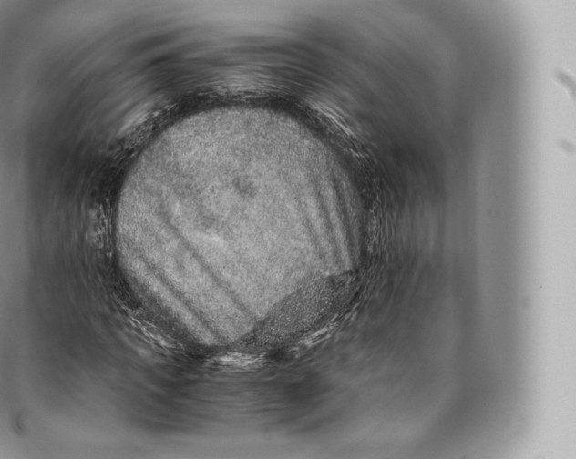 X0000096480917200802141718