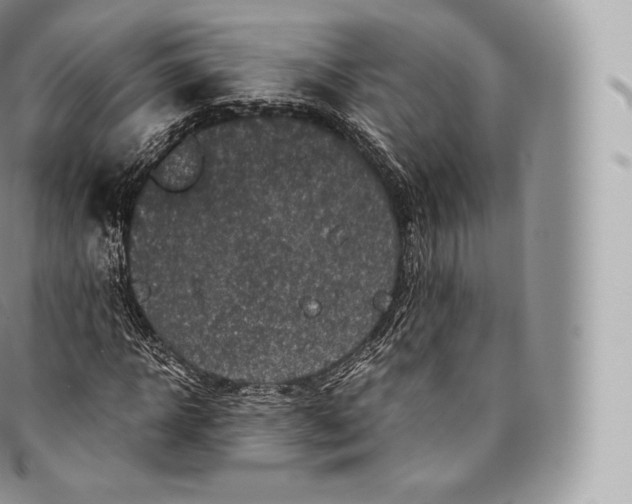 X0000096480918200802141718