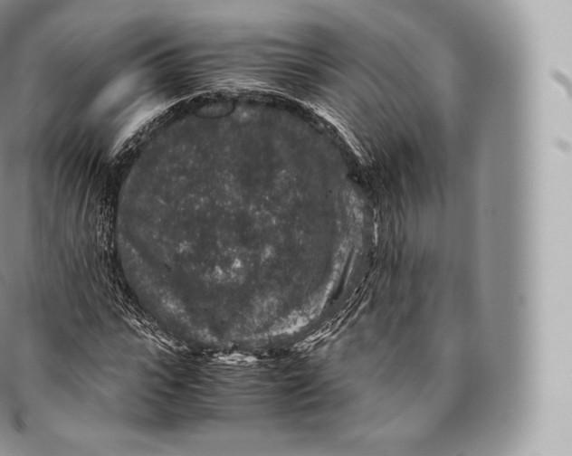 X0000096480919200802141718