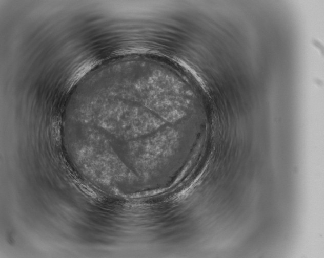 X0000096480921200802141718