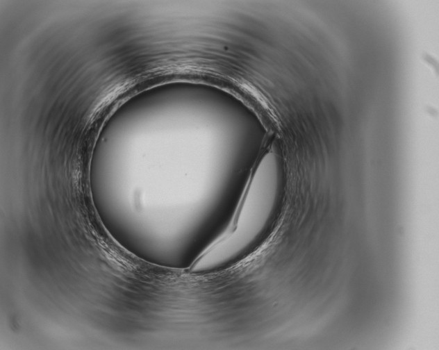 X0000096480922200802141718