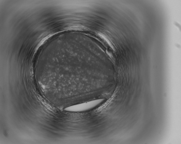 X0000096480923200802141718