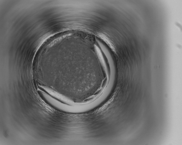 X0000096480924200802141718