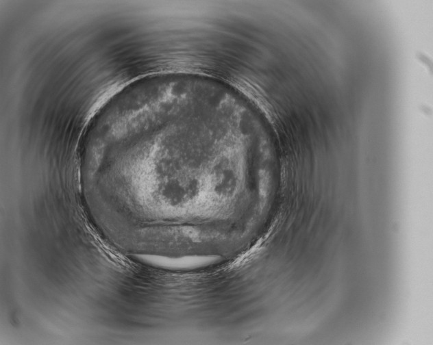 X0000096480925200802141718