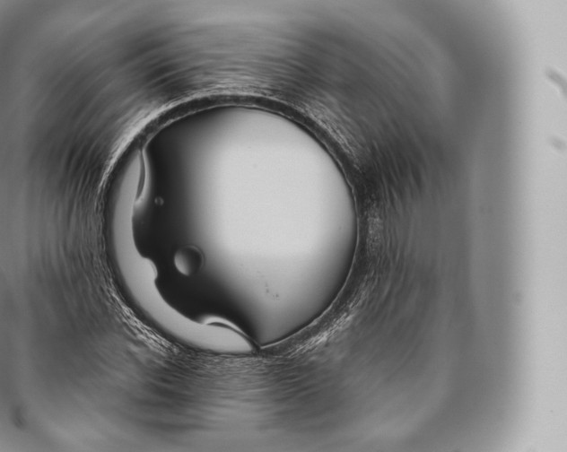 X0000096480926200802141718