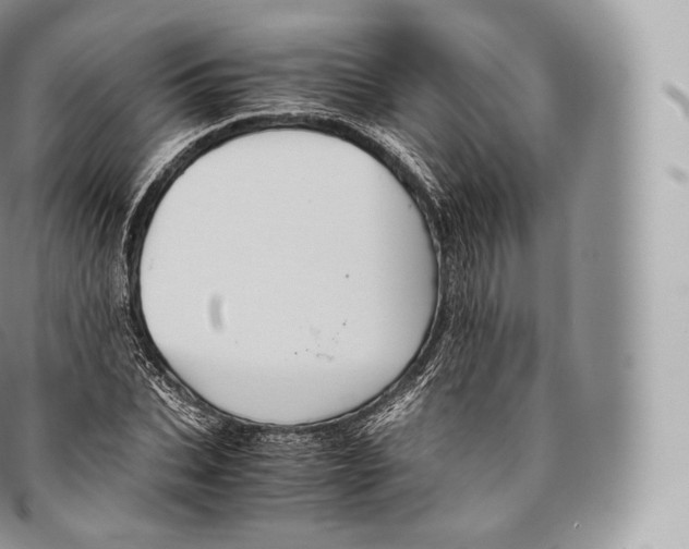 X0000096480927200802141718