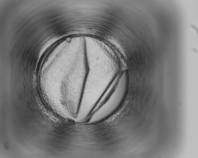 X0000096480928200802141718