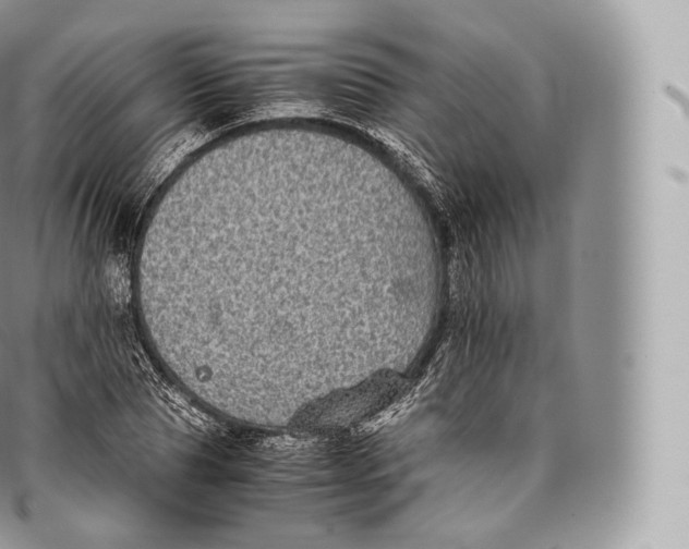 X0000096480929200802141718