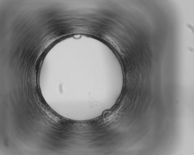 X0000096480931200802141718