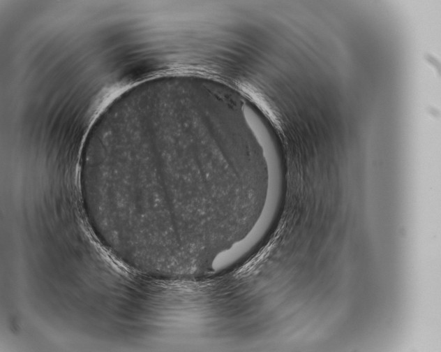 X0000096480932200802141718