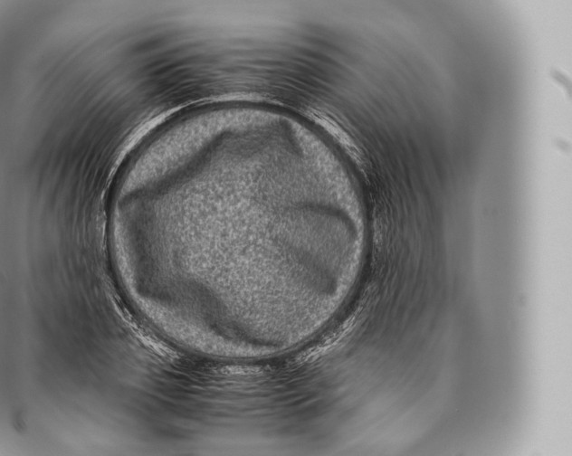 X0000096480933200802141718