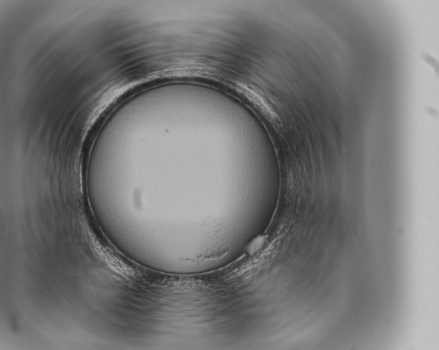 X0000096480934200802141718