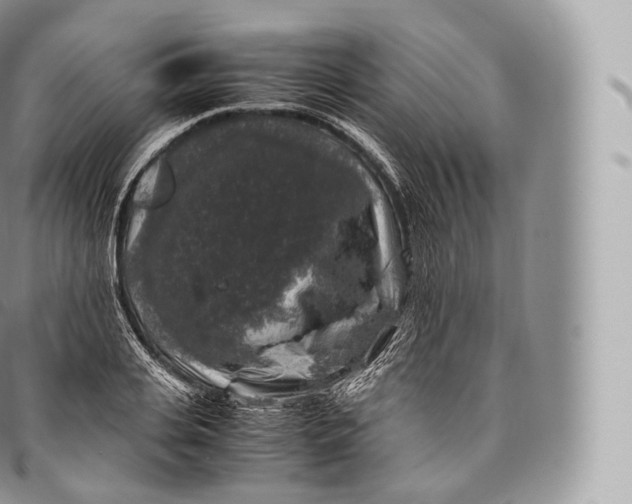 X0000096480935200802141718