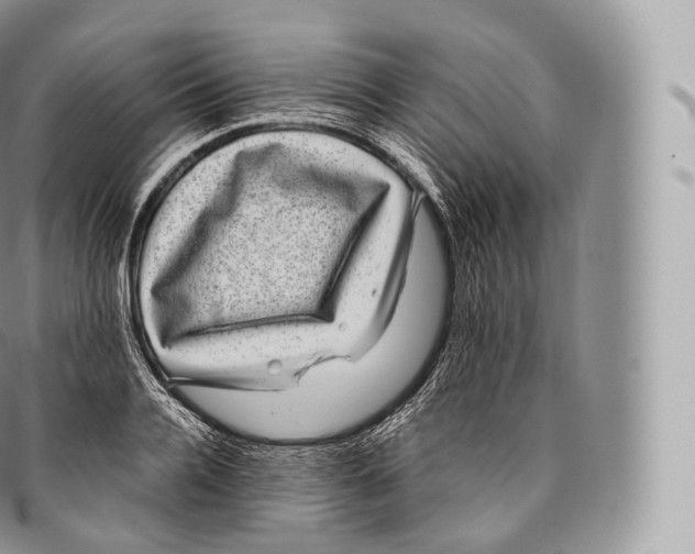 X0000096480936200802141718