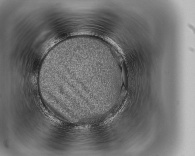 X0000096480937200802141718