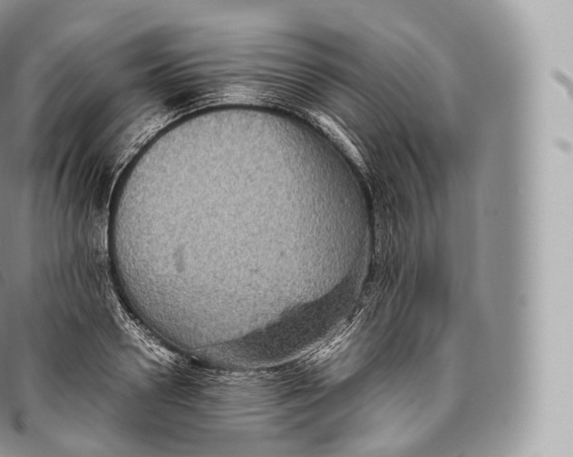 X0000096480938200802141718