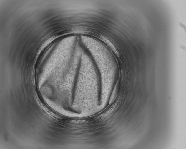 X0000096480939200802141718