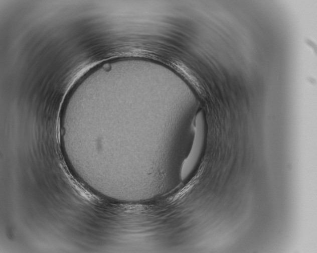 X0000096480940200802141718