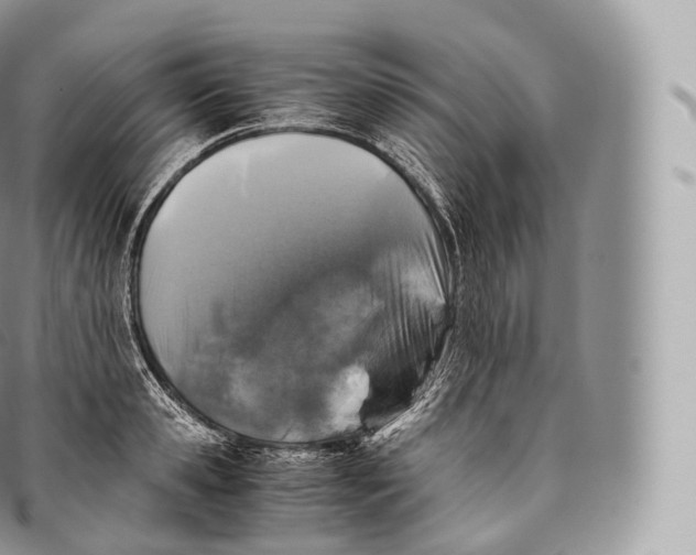 X0000096480941200802141718