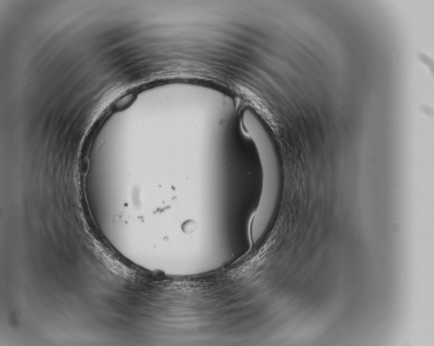 X0000096480942200802141718