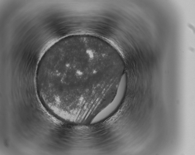 X0000096480943200802141718