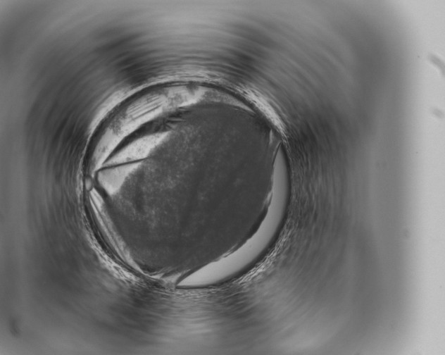 X0000096480944200802141718