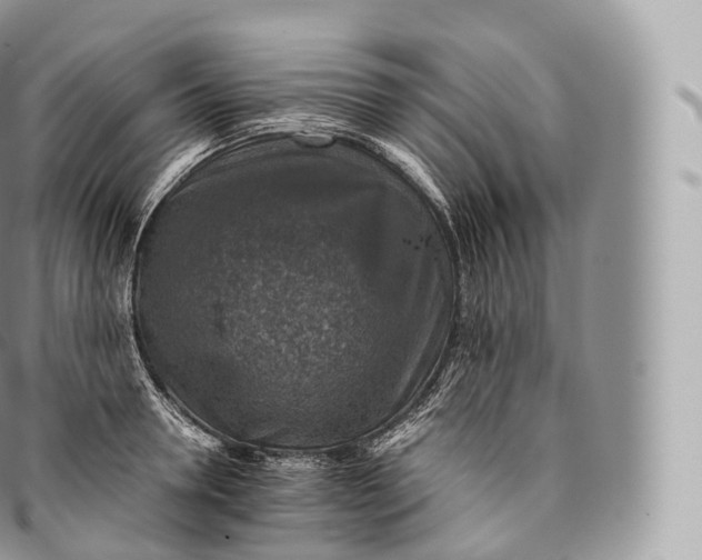 X0000096480946200802141719