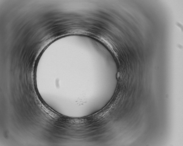 X0000096480947200802141719